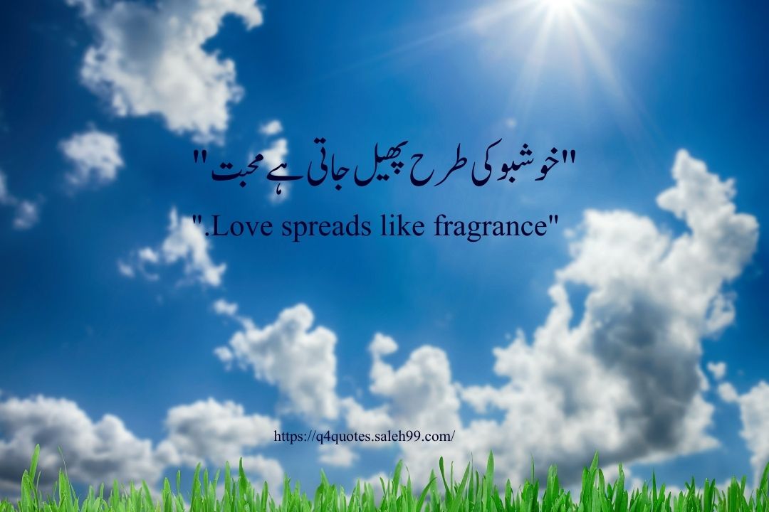 Love Quotes in Urdu