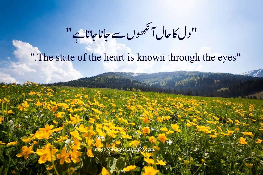 Love Quotes in Urdu