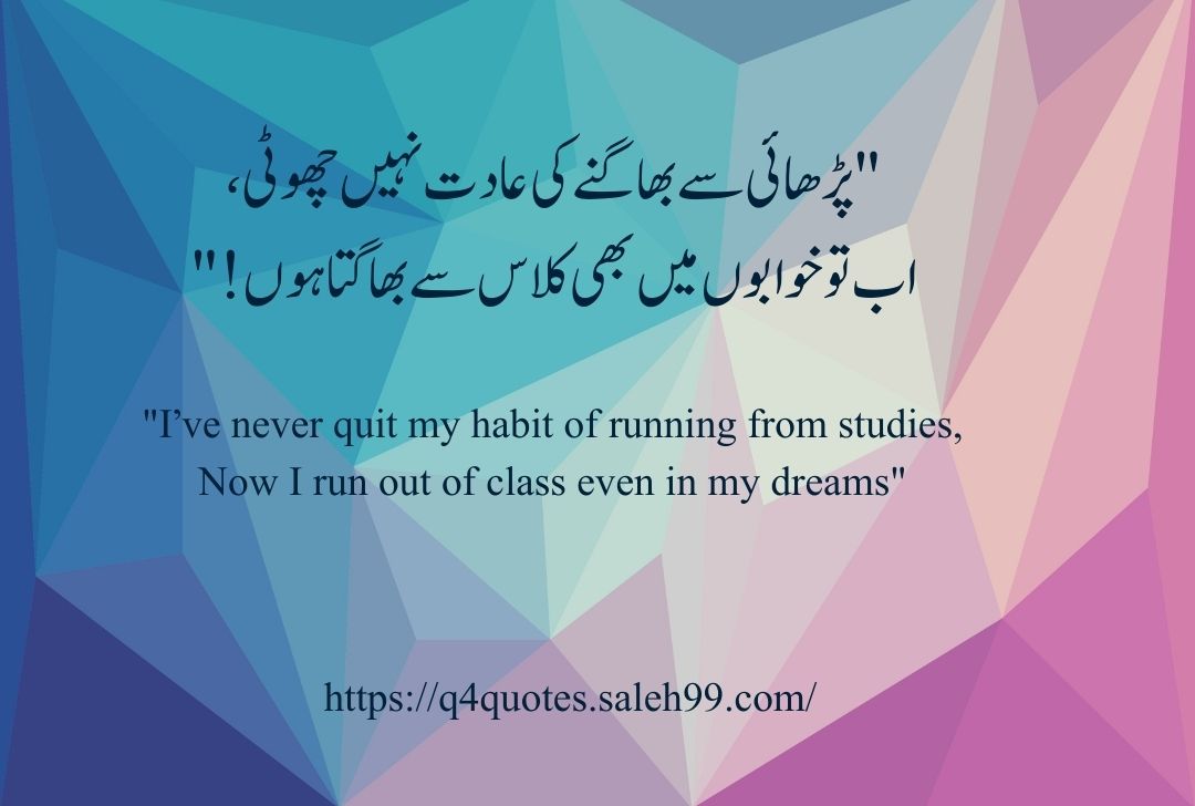 Funny Shayari in Urdu 2 Lines