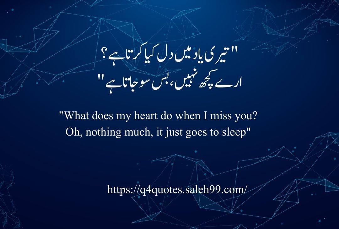 Funny Shayari in Urdu 2 Lines