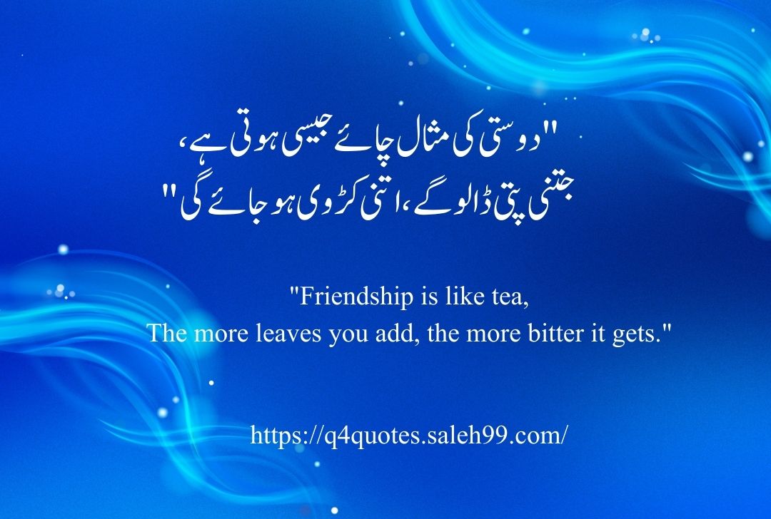 Funny Shayari in Urdu 2 Lines