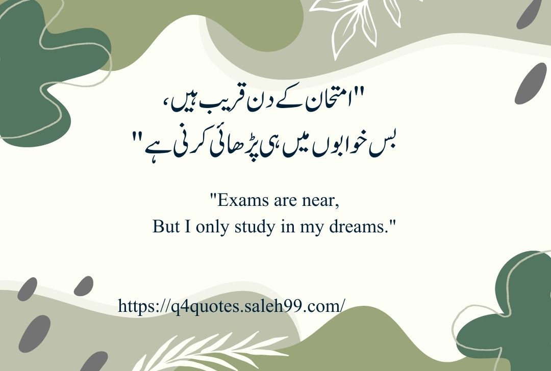 Funny Shayari in Urdu 2 Lines