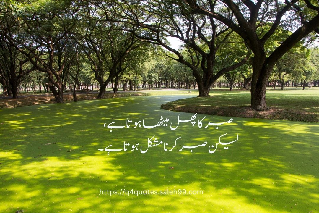 Urdu Quotes