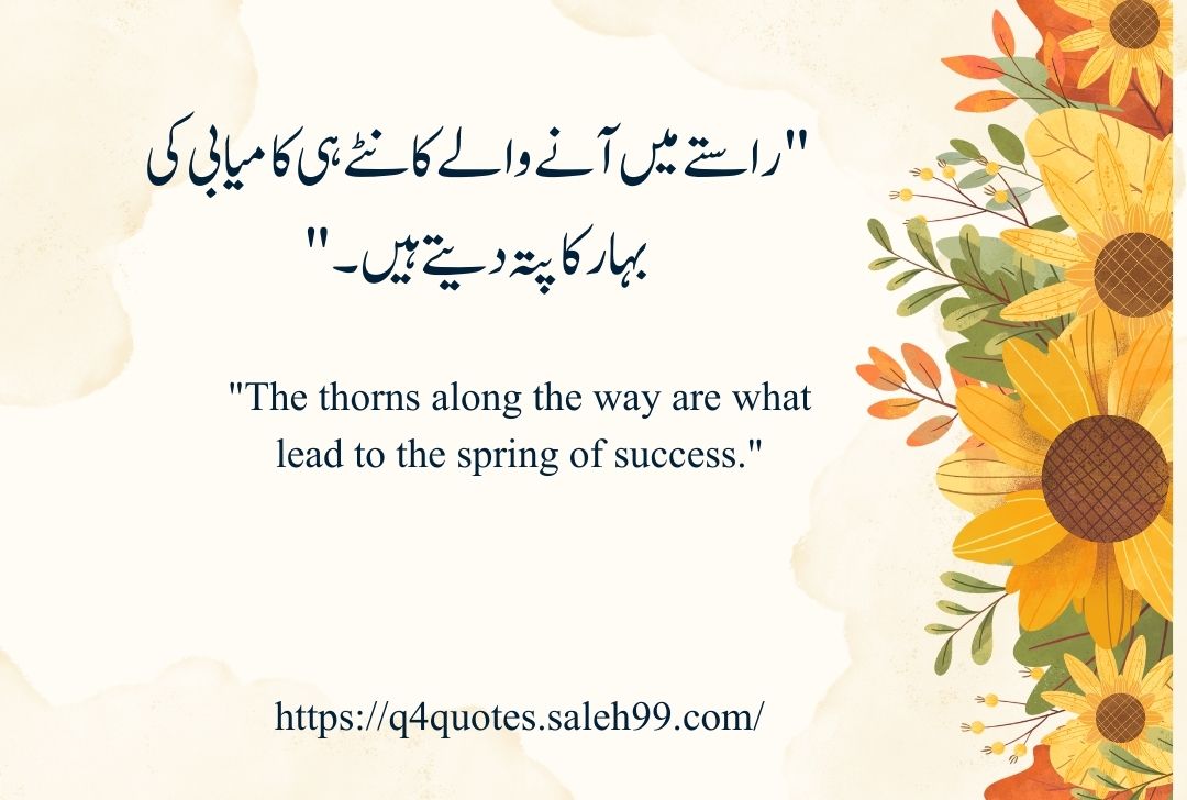 Success Poetry in Urdu