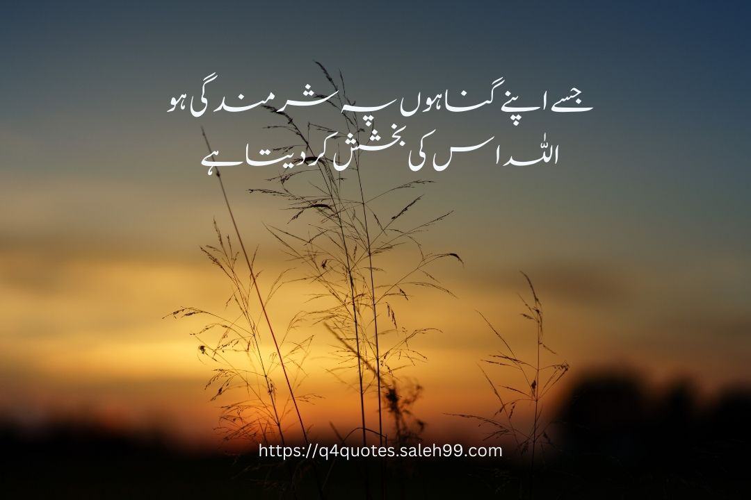 Urdu Quotes