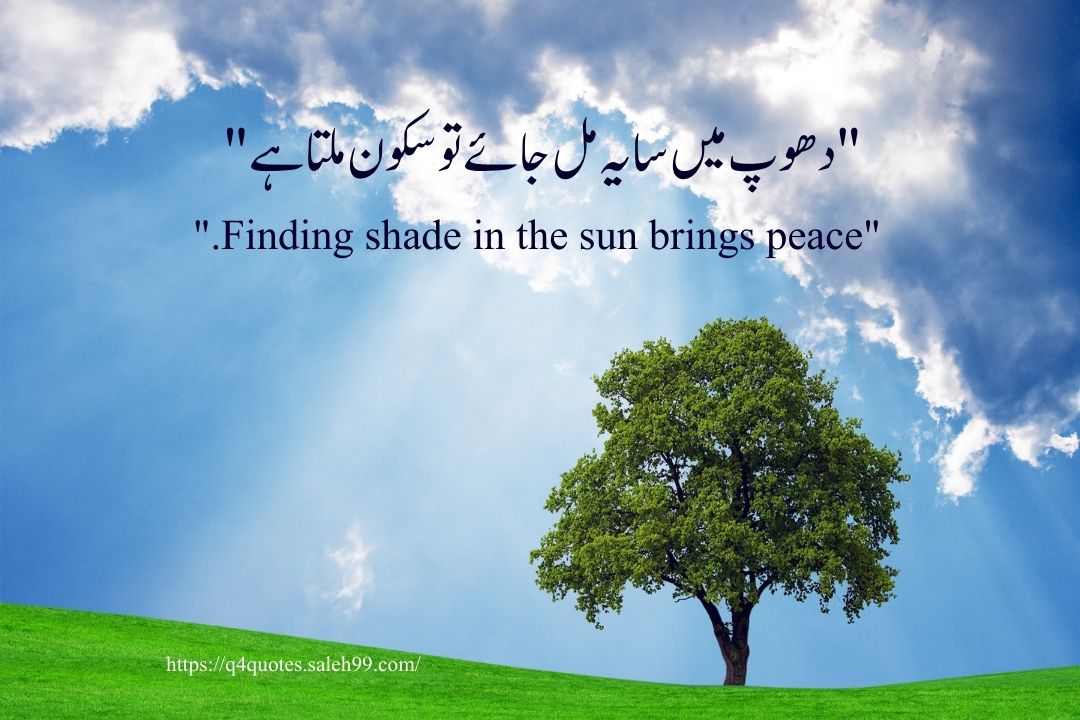 Love Quotes in Urdu