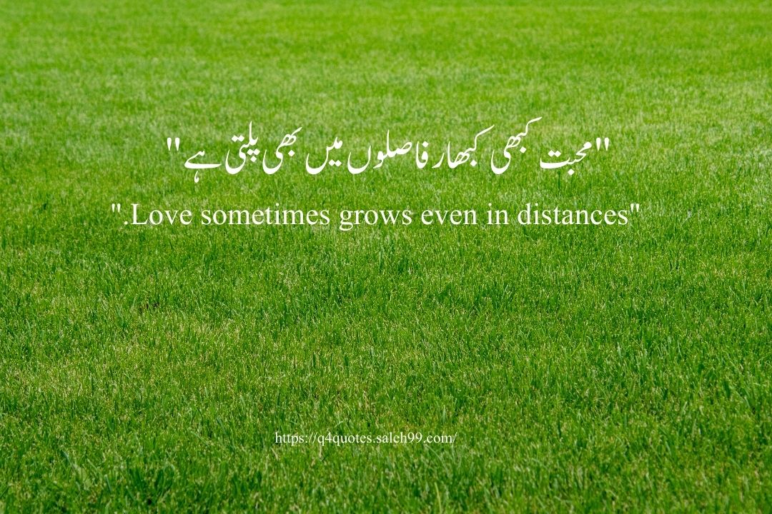 Love Quotes in Urdu