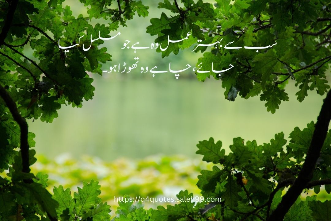 Urdu Quotes