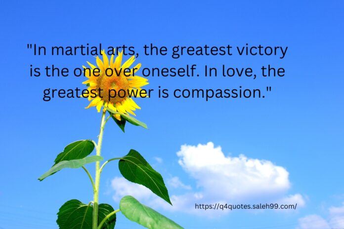 Buddhist Quote Martial Arts Love​